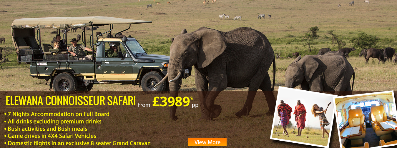 st region ELEWANA CONNOISSEUR SAFARI